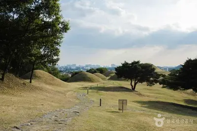 대구 불로동 고분군