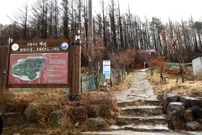 국민의 숲 트레킹 코스