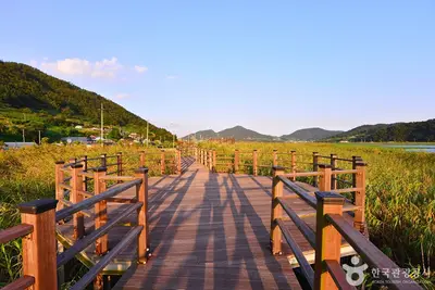 여수 가사리 생태공원