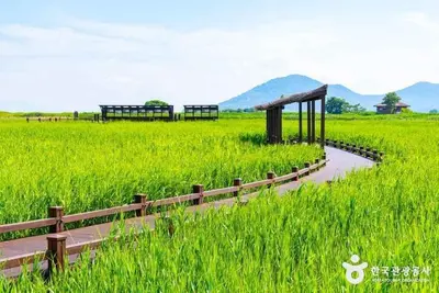 순천만습지