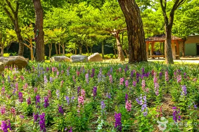 대구앞산공원
